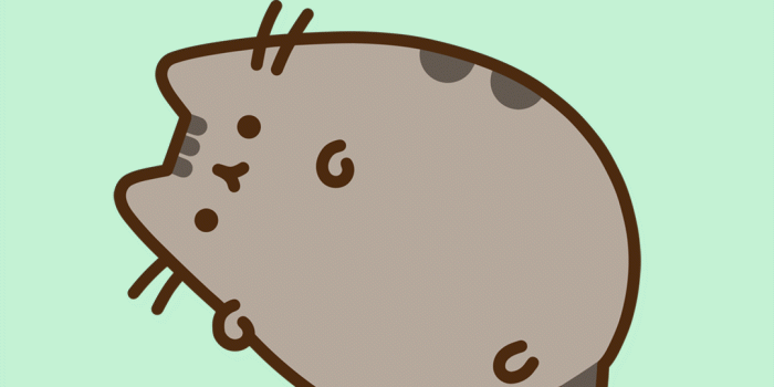 1080x1080 silly wallpapers - Page 3 of 3 - wallpaper21.com