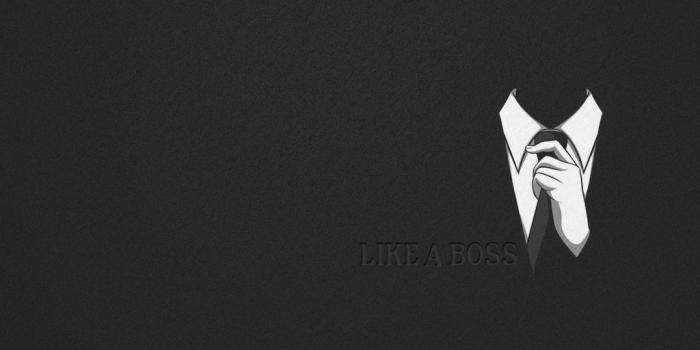 1024x768 Like A Boss Wallpapers