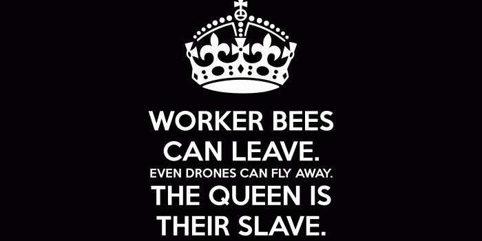 1920x1080 My wallpaper at work... until my boss suggested me to change