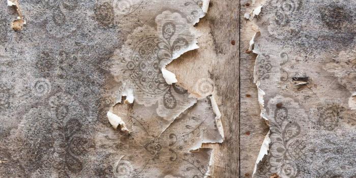 1300x957 Lorraine Hall on walls | Textured wallpaper, Wall, Wallpaper