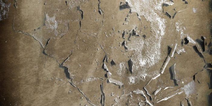 894x894 Ripped Wallpapers - Wallperio.com