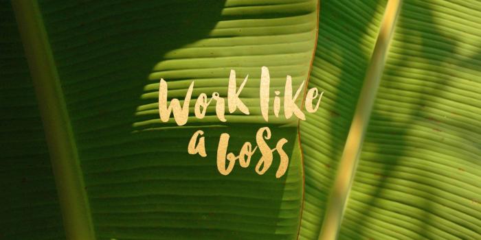 1900x1200 Work Like a Boss: Free Wallpaper | Leysa Flores