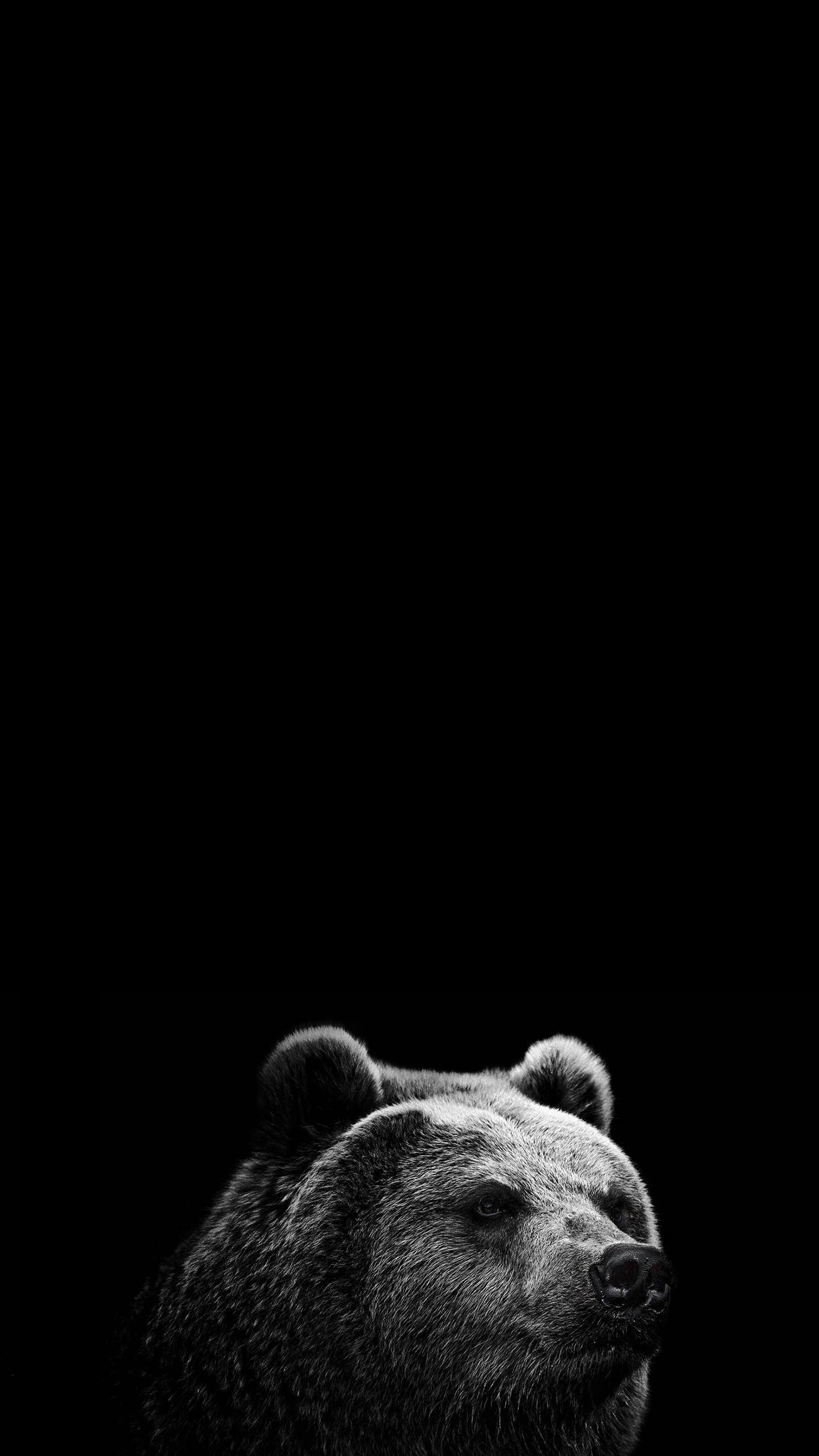 1440x2560 Just The Pure Black From Ios 11's Default Backgrounds - Bear