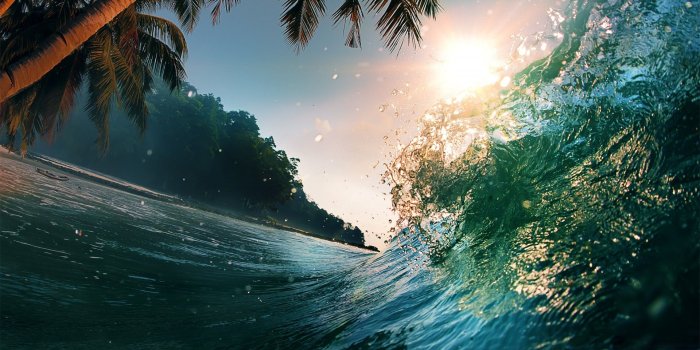 1920x1080 Wallpaper Wave, 5k, 4k wallpaper, 8k, ocean, palms, sun, Nature #5490
