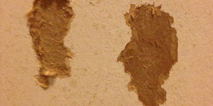 900x1200 Ripped the wallpaper off the bathroom wall and might have found