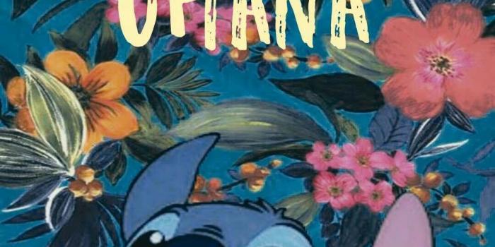 1080x1920 Ohana iPhone Wallpapers - Top Free Ohana iPhone Backgrounds