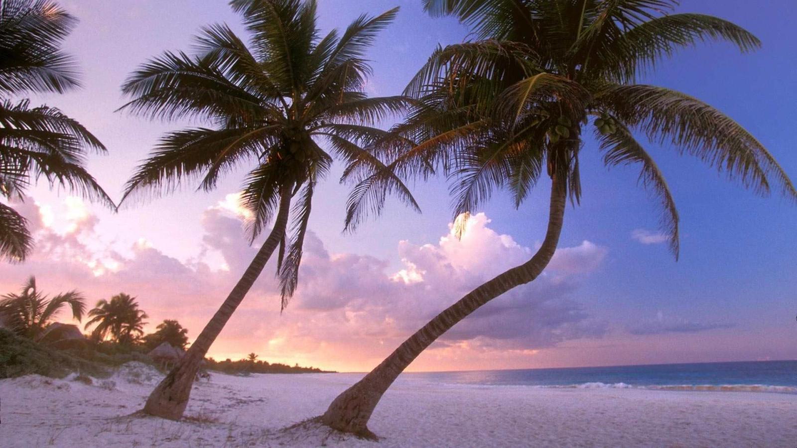 1920x1080 cancun wallpaper | Lost in wonderland | Cancun mexico, Cancun, Beach