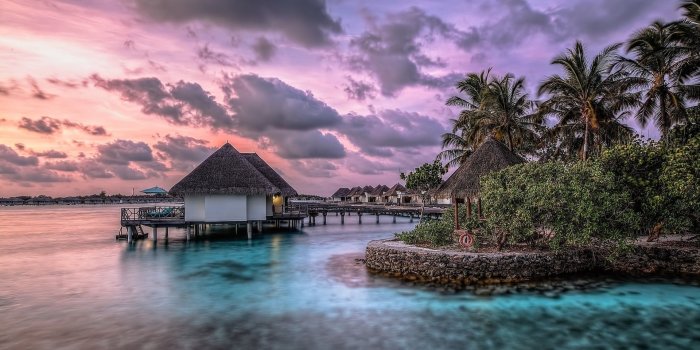 1920x1080 66+ Exotic Wallpapers on WallpaperPlay