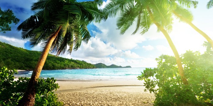 5120x3200 Exotic iPad Wallpapers - Top Free Exotic iPad Backgrounds