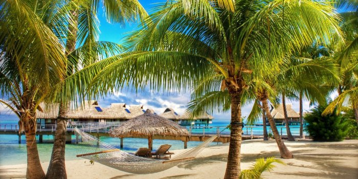 1920x1080 nature, corner, summer, exotic :: Wallpapers