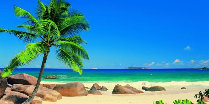 1920x1080 63+ Exotic Beach Wallpapers on WallpaperPlay