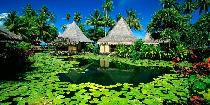 2560x1600 Exotic wallpaper | 2560x1600 | #60000