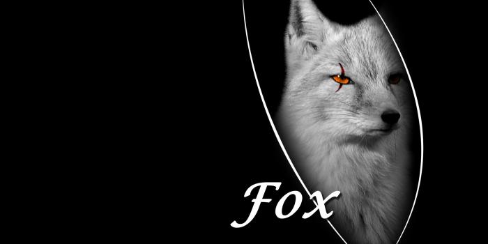 2560x1600 Cool Fox wallpaper | 2560x1600 | #12308