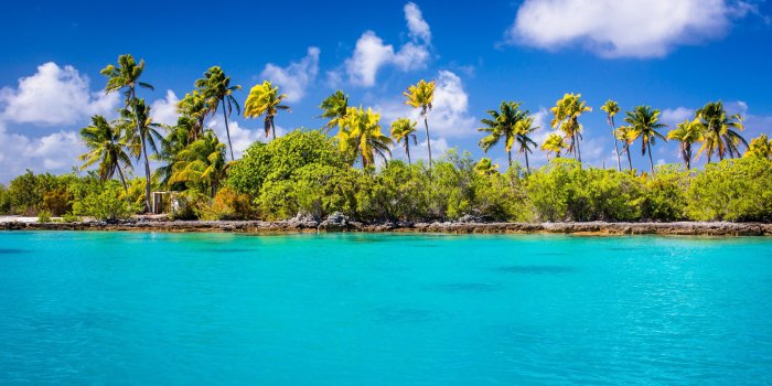 3840x2160 Exotic Ocean Beach With Palm Trees UHD 4K Wallpaper | Pixelz