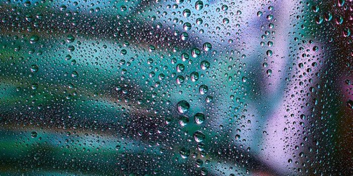 750x1334 iPhone7papers.com | iPhone7 wallpaper | be19-raindrop-exotic-plant