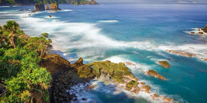 2560x1600 Exotic Wallpaper #6788162