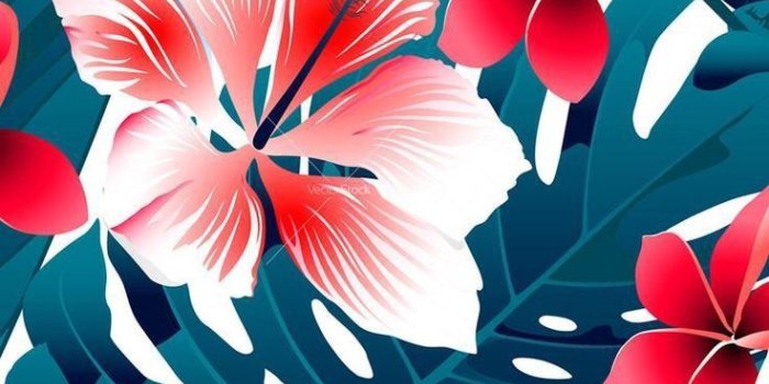 736x1309 Exotic Flower Wallpaper Wallpapers Browse | wallpapers | Flower