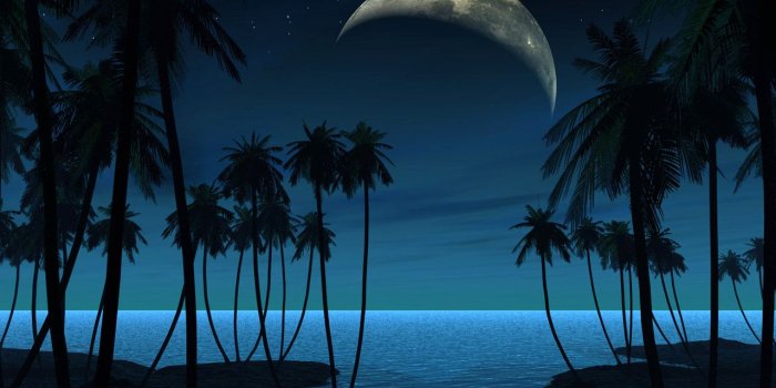 1280x1024 Exotic Blue wallpapers | Exotic Blue stock photos