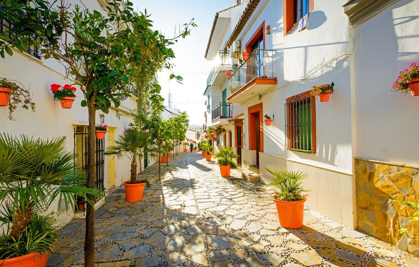 1332x850 Wallpaper summer, trees, street, Spain, Spain, Estepona, Iberian