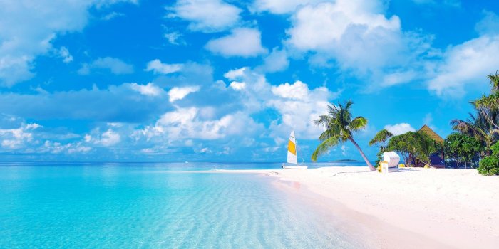 1920x1080 Wallpapers Exotic