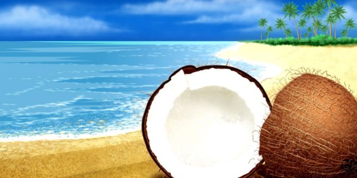 1203x698 Exotic Beach Wallpapers Hd Desktop | Wallpapers Plain