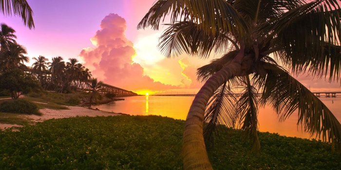 1920x1200 exotic wallpaper Gallery (66+ images)