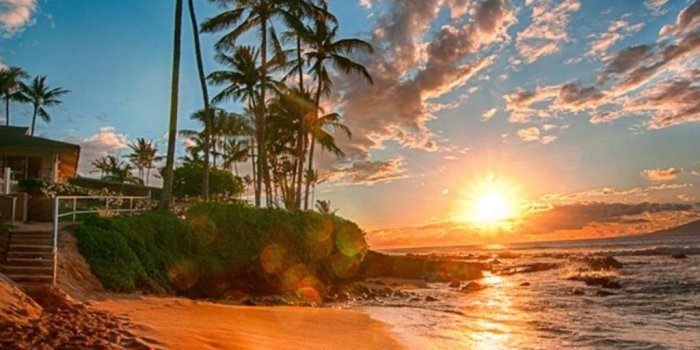 1024x768 Hawaii Exotic Wallpaper Hd Sea Sand Beach Palms Green Sky With White