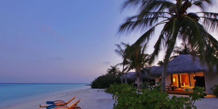 1440x810 44+] Exotic Wallpaper Images on WallpaperSafari