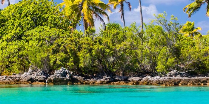 1080x1920 Apple Iphone 7 Plus, - Exotic Wallpapers For Phone Free Wallpaper