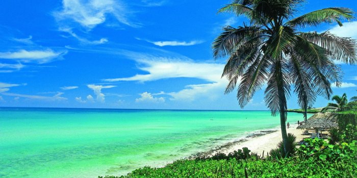 1920x1080 63+ Exotic Beach Wallpapers on WallpaperPlay