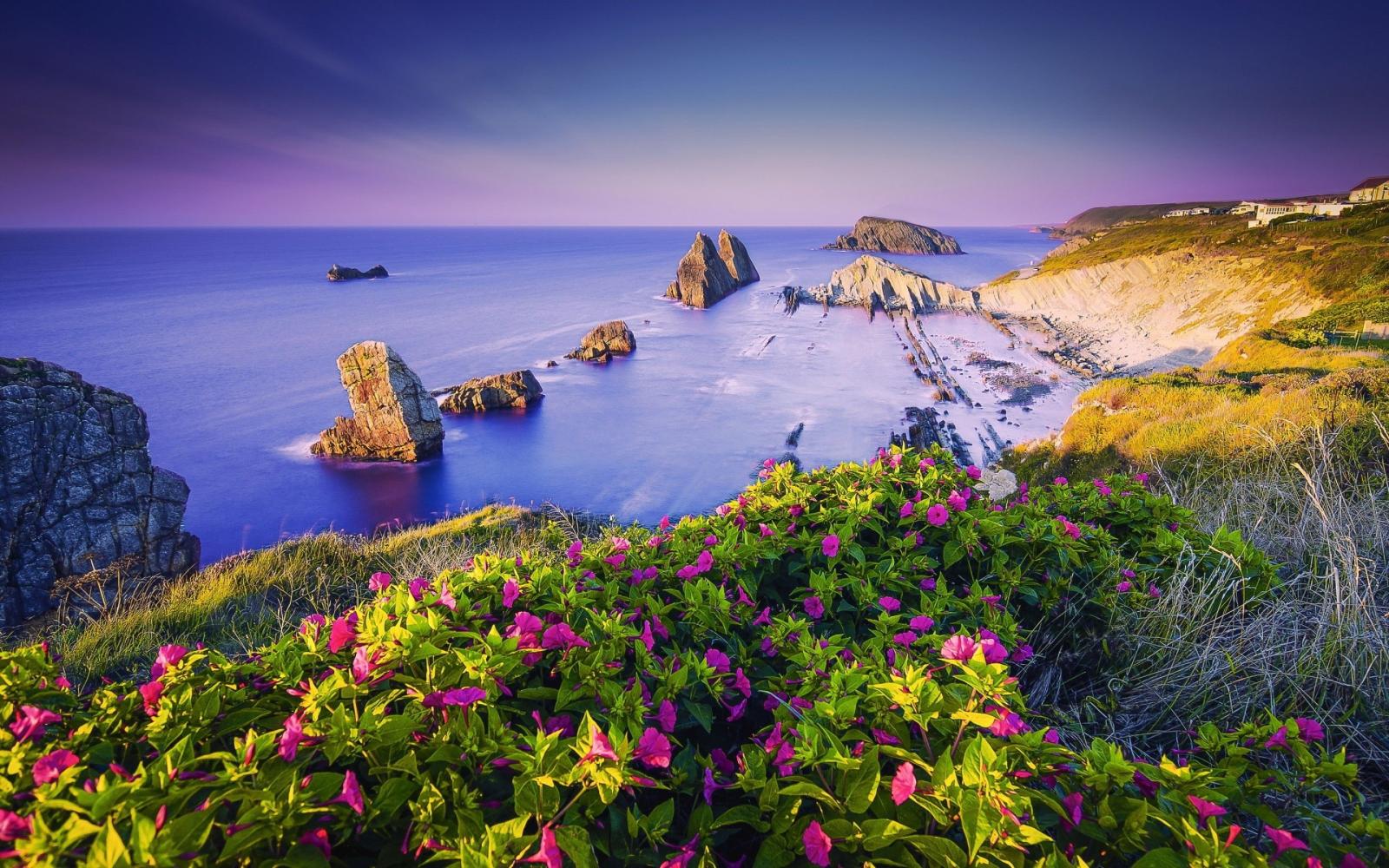 2880x1800 Download 2880x1800 Costa Quebrada, Spain, Ocean, Flowers Wallpapers