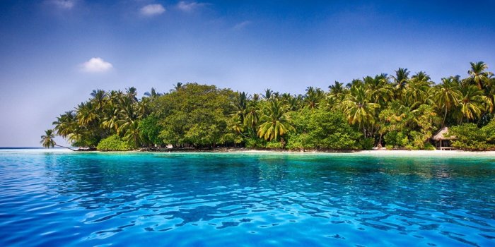 2048x863 2808692 maldives beach palm trees tropical sea sand water summer