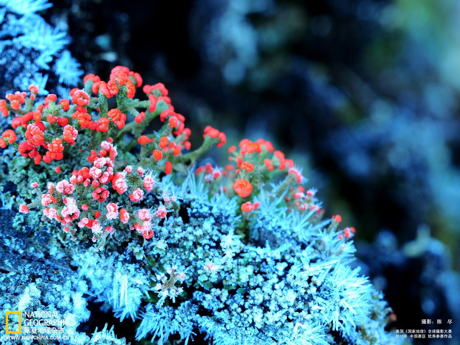 1600x1200 47 Advent Backgrounds Collection for Mobile, BsnSCB Graphics