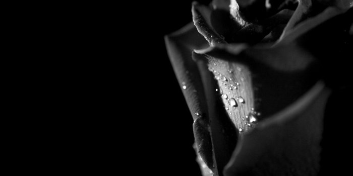 2048x1536 Tears Wallpapers