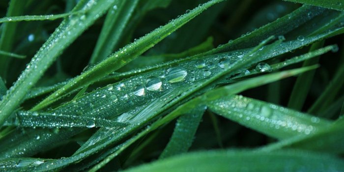 1280x804 Tears wallpapers | Tears stock photos