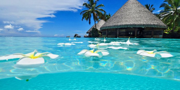 1920x1080 Exotic wallpapers (20+) Collections