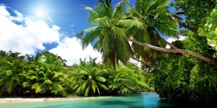 2560x1600 Exotic Wallpapers Backgrounds Download - simplechurch.us