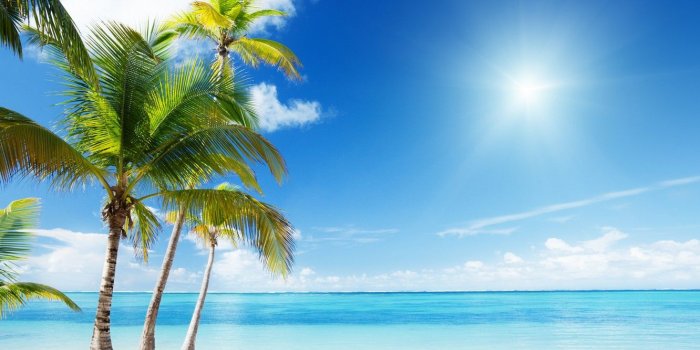1332x850 Wallpaper beach, nature, palm trees, the ocean, Paradise, exotic