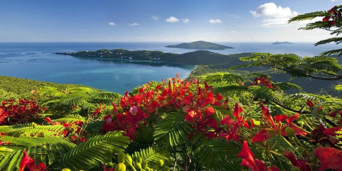 2560x1440 Exotic Beautiful Wallpapers - Top Free Exotic Beautiful Backgrounds