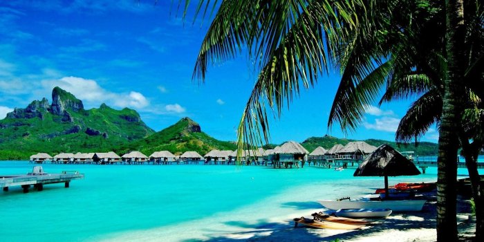 1920x1080 HD wallpaper: Exotic Beach and Accommodation, palms, gorgeous