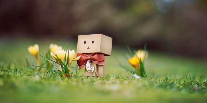 1600x1000 Tears Wallpaper Hd Group (61+), Download for free