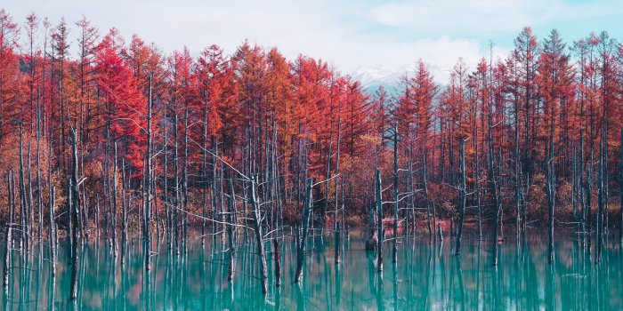 5120x2880 Blue Pond, Hokkaido Mac Wallpaper Download | Free Mac Wallpapers