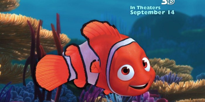 1481x1111 Finding Nemo Wallpapers