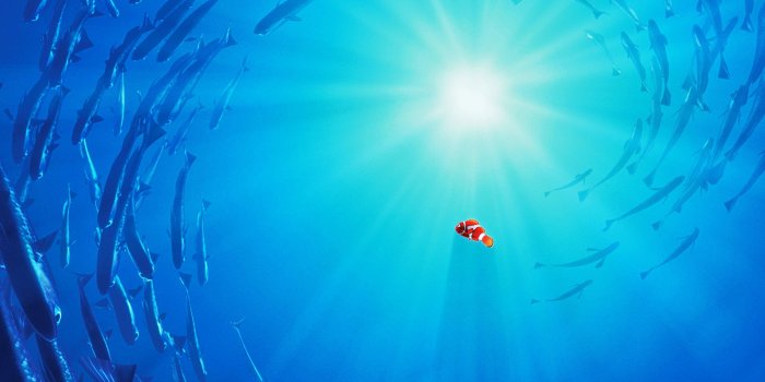2776x1953 Finding Nemo Wallpaper 17 - 2776 X 1953