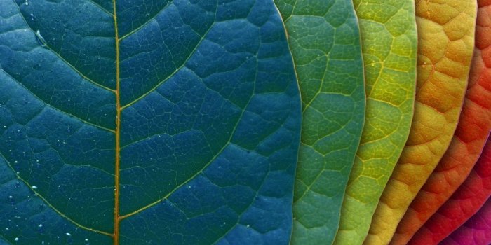 1920x1080 Imac Image – download on the digitalimagemakerworld.com chargeless