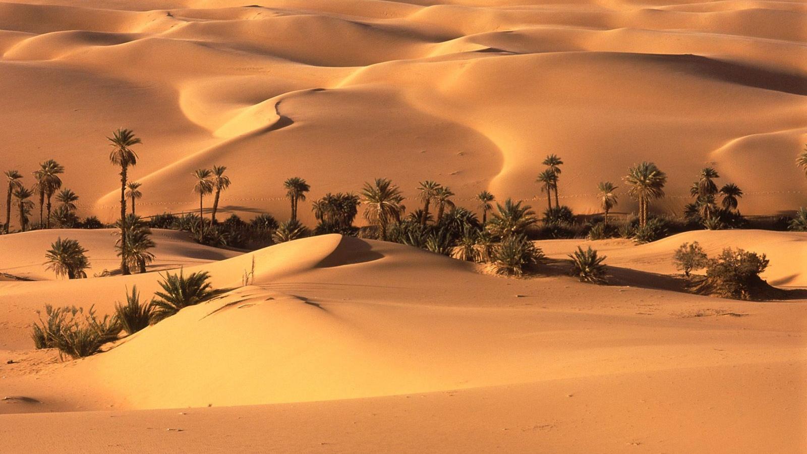 3840x2160 69+ Desert Wallpapers on WallpaperPlay