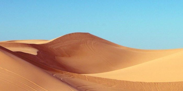 750x1334 Desert Android Wallpaper | Wallpaper | Best wallpapers,roid