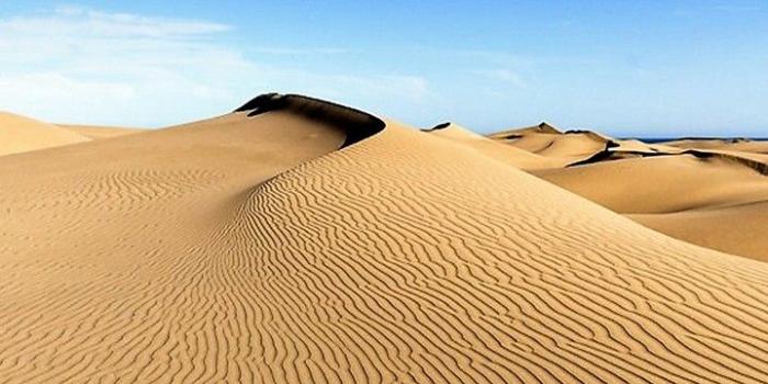 720x1480 Desert Wallpaper - [720x1480] | Samsung wallpaper in 2019