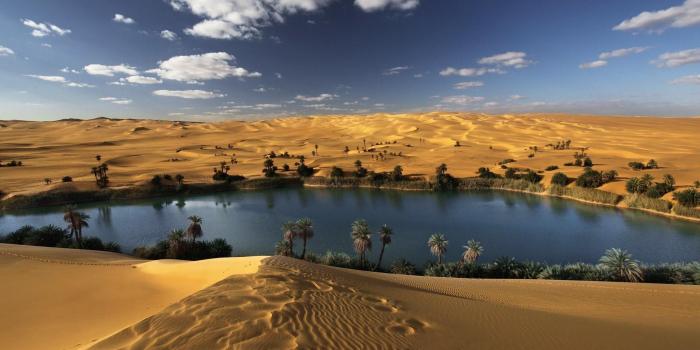 1920x1080 54+ Desert Oasis Wallpapers on WallpaperPlay