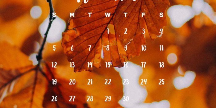 1080x1920 Golden changing fall leaves November calendar 2017 wallpaper you can